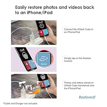 Amazon.com: PioData iXflash Cube 1 TB Photo Backup Device